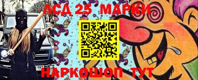 прущие грибы Нальчик