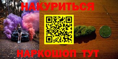 прущие грибы Нальчик