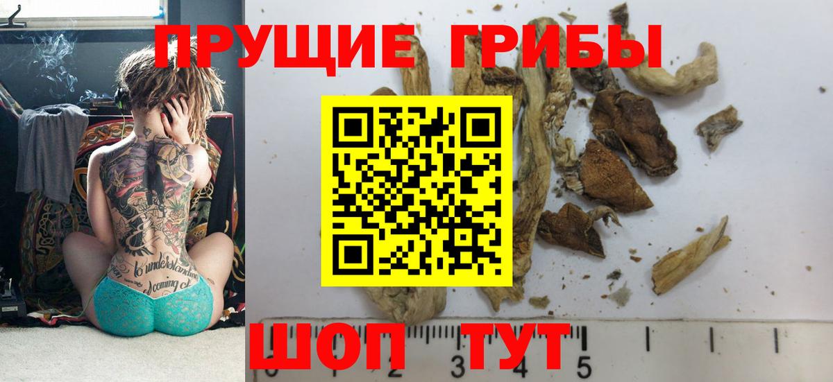 Галлюциногенные грибы мицелий Усолье-Сибирское